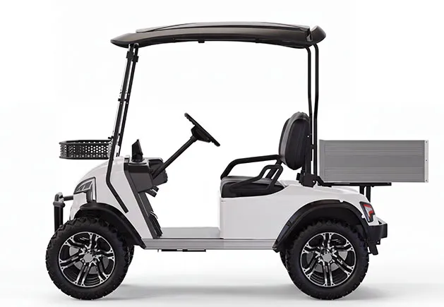 WSM JX2 Golfplatzedition — E-Fahrzeug — Ansicht 2