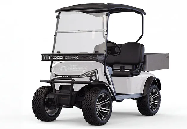 WSM JX2 Golfplatzedition — E-Fahrzeug, Landmaschinenhandel Werner