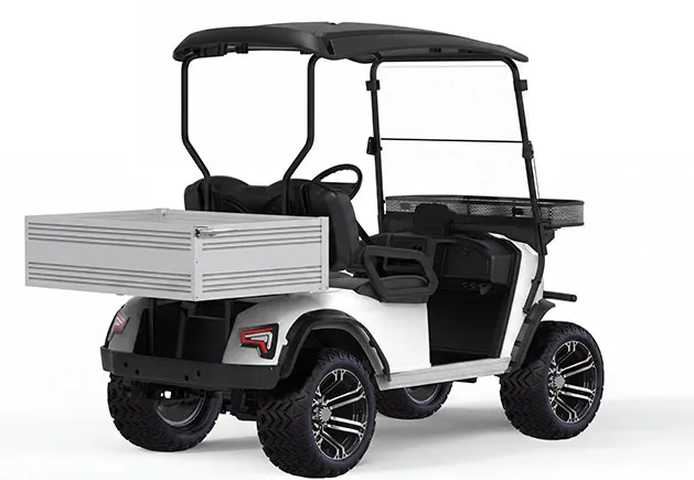 WSM JX2 Golfplatzedition — E-Fahrzeug — Ansicht 3