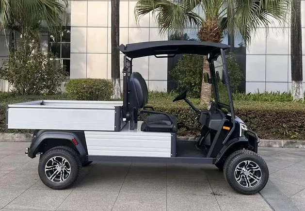WSM JX2-150 Cargo — elektromobil — pohled 2