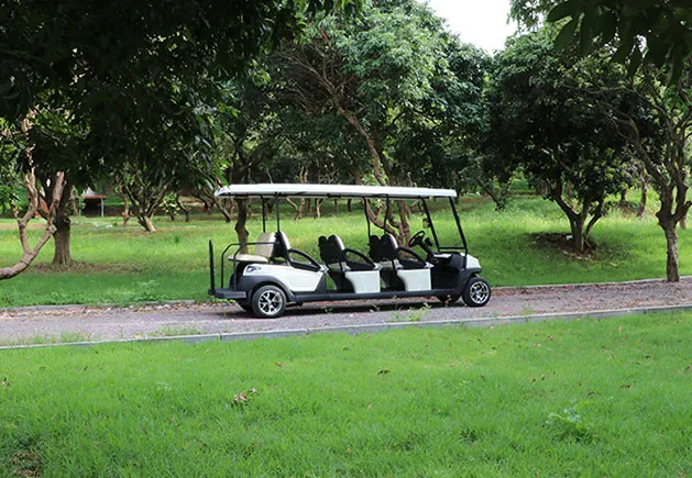 WSM MK1600+2 — Electric vehicle — View 3