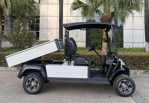 WSM JX2-150 Cargo — elektromobil — pohled 3