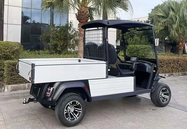 WSM JX2-150 Cargo — elektromobil — pohled 7