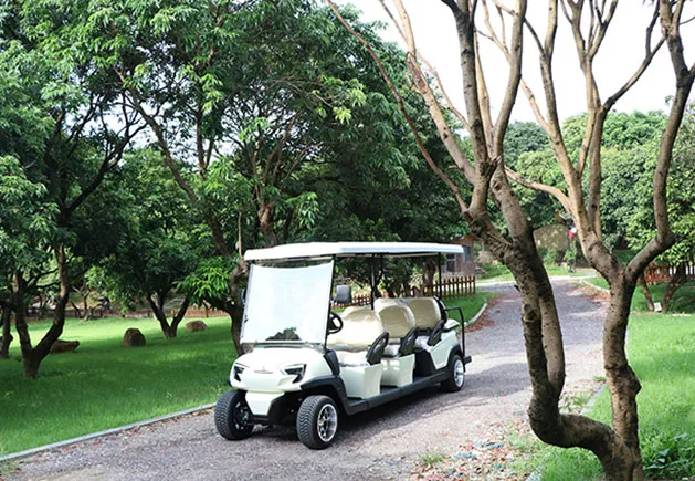 WSM MK1600+2 — Electric vehicle — View 7