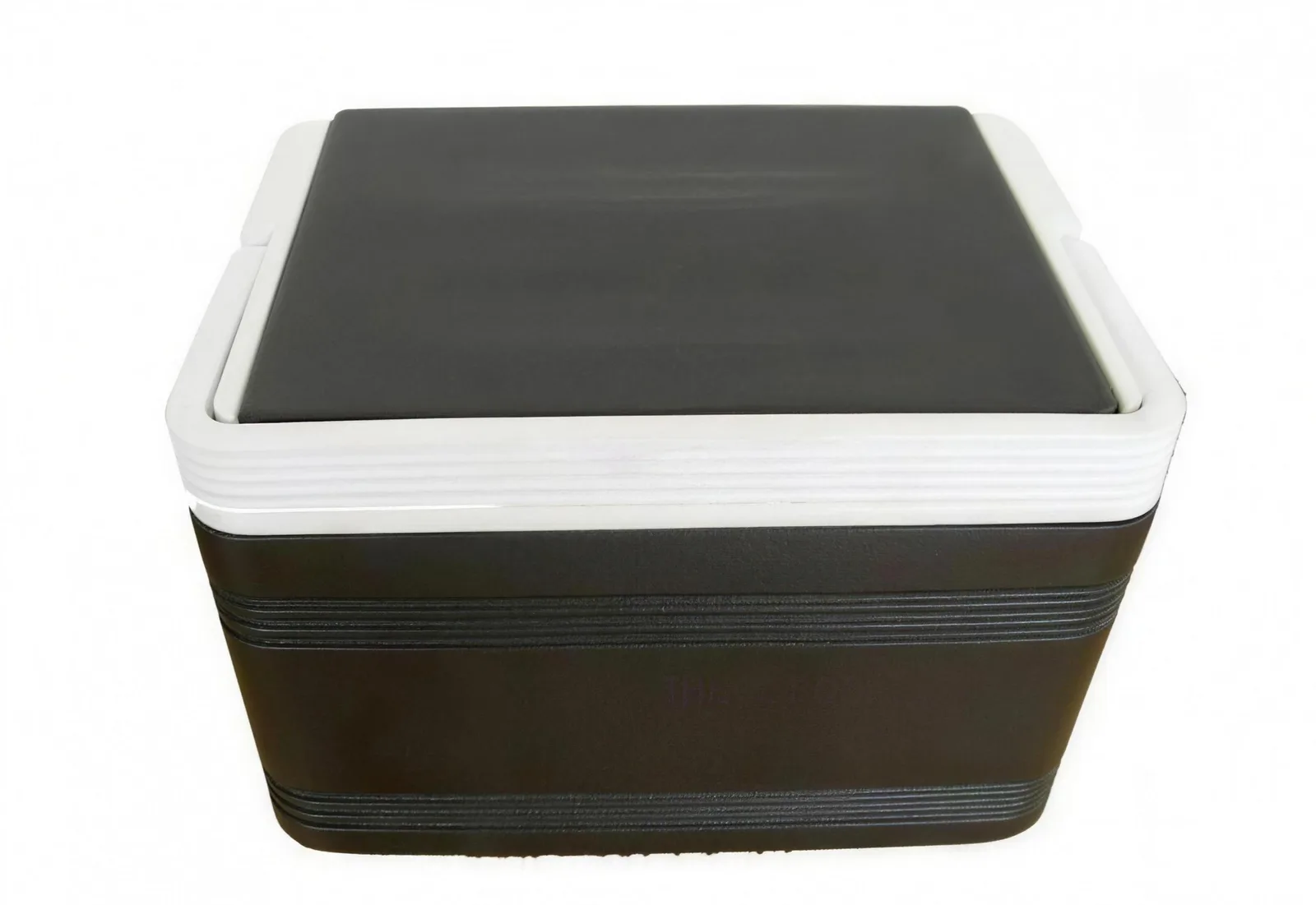 WSM Golfcart-Kühlbox — Zubehör — Ansicht 3