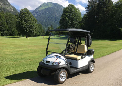 WSM GolfCar EX1300 Elektrofahrzeug Golfline