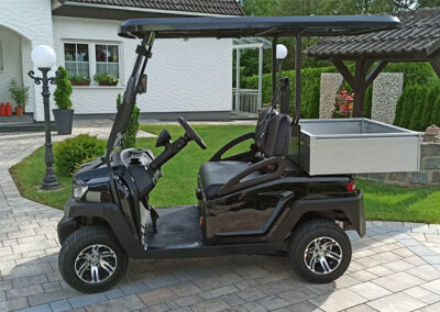 WSM EX1300 GolfCar mit Transportbox